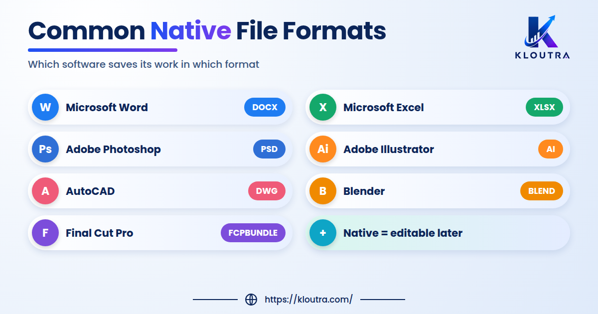 Native Format: Meaning, Examples & How It Works